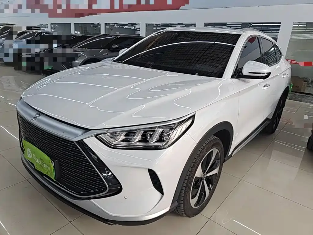 BYD PLUS New Energy — фото 1