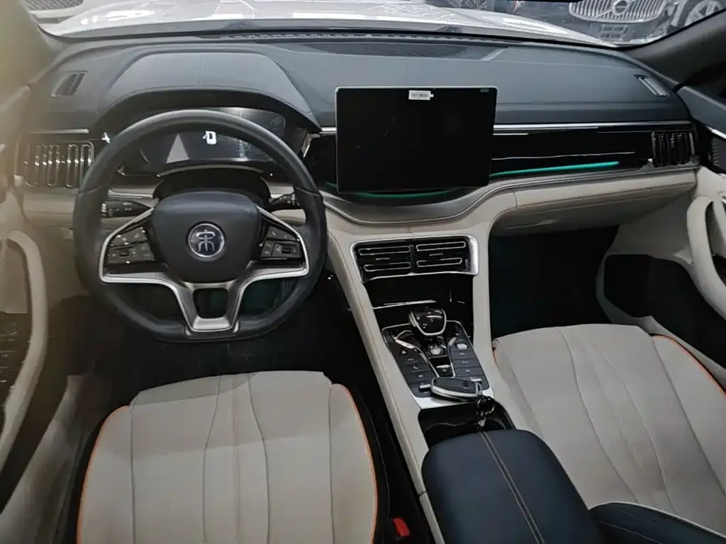 BYD PLUS New Energy — фото 4