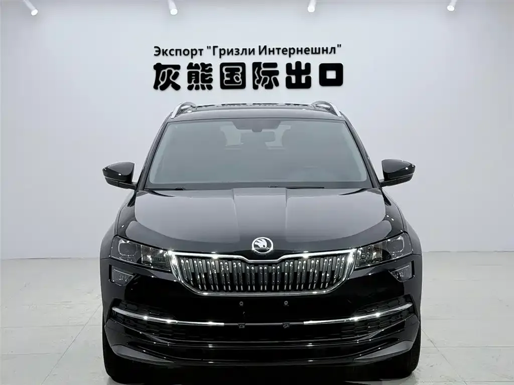 Skoda Karoq — фото 9