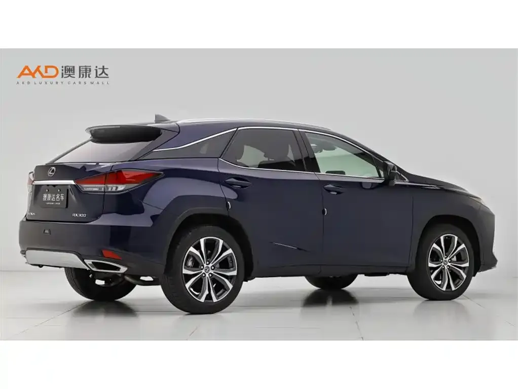 Lexus RX — фото 9