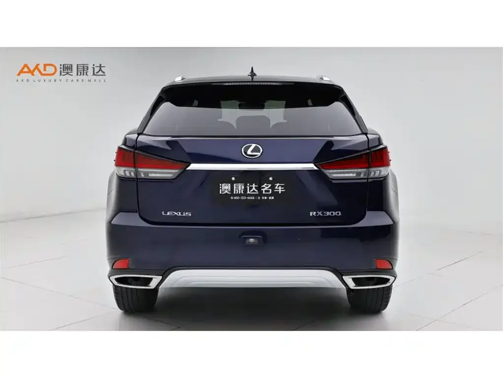 Lexus RX — фото 2