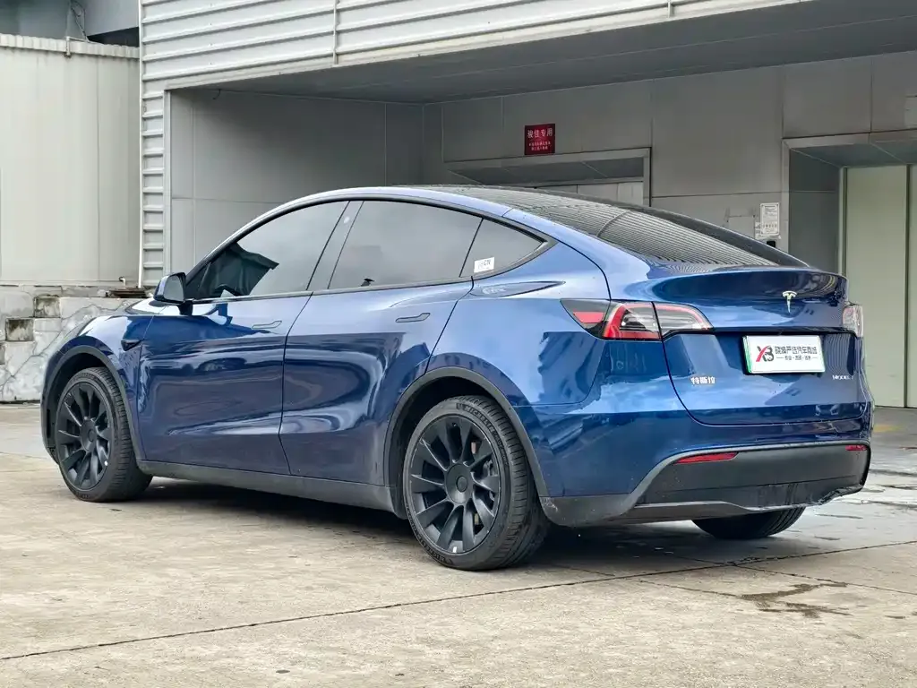 Tesla Model Y — фото 2