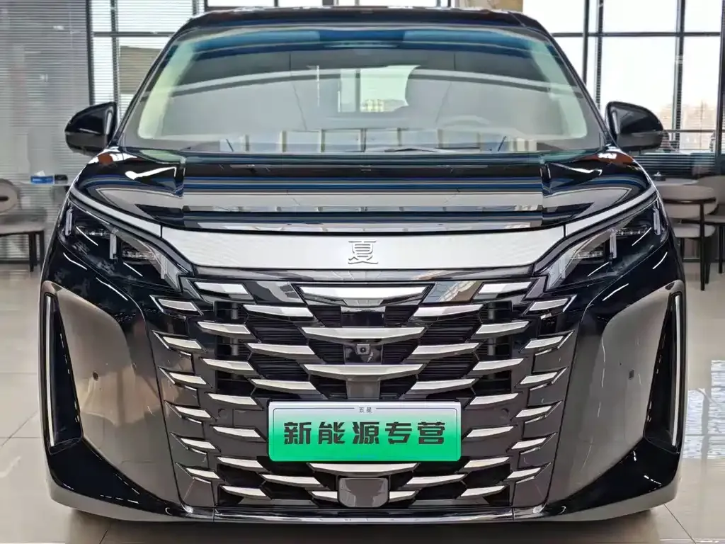 BYD Xia 2025 из CN, фото 2
