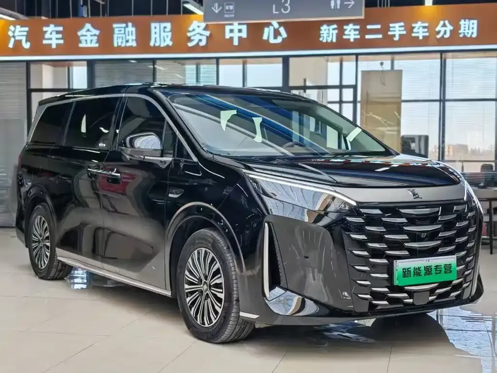 BYD Xia 2025 из CN, фото 6