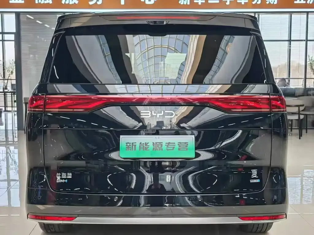 BYD Xia 2025 из CN, фото 8