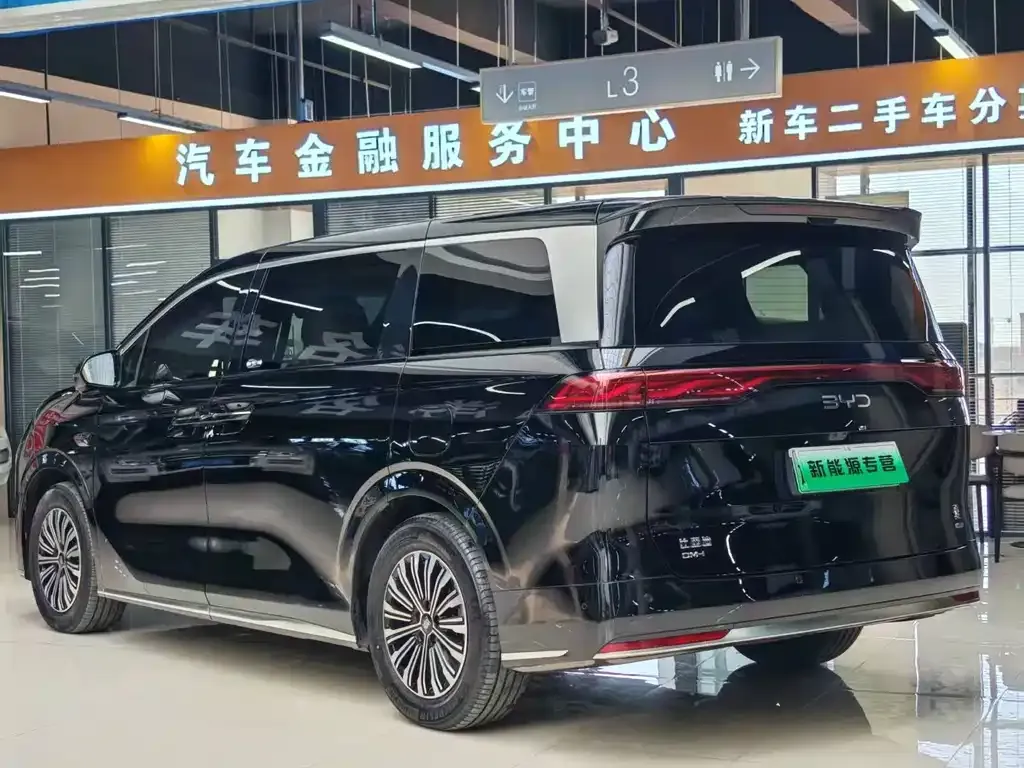 BYD Xia 2025 из CN, фото 5