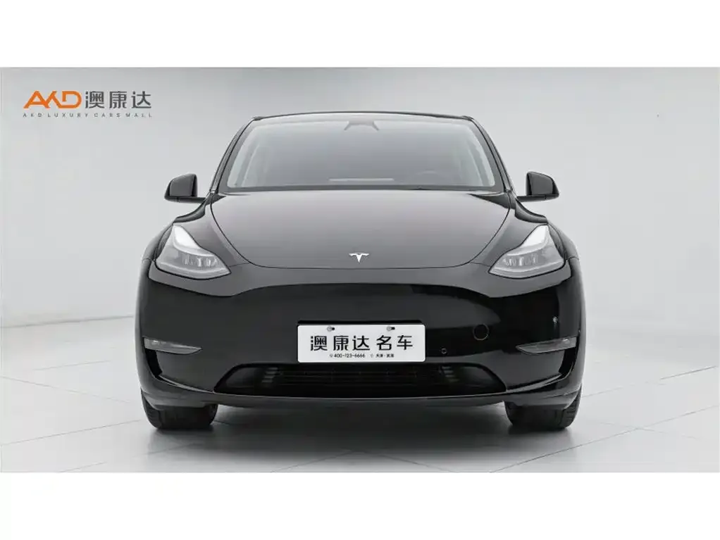 Tesla Model Y — фото 7