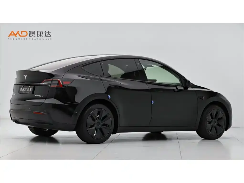 Tesla Model Y — фото 8