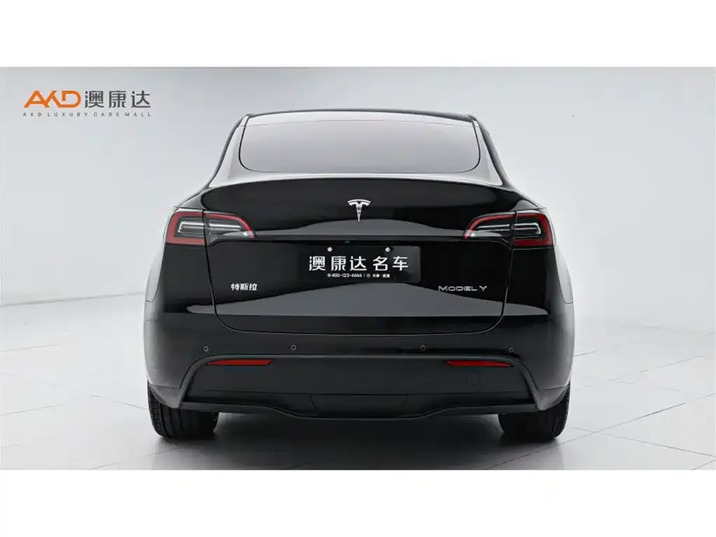 Tesla Model Y — фото 2