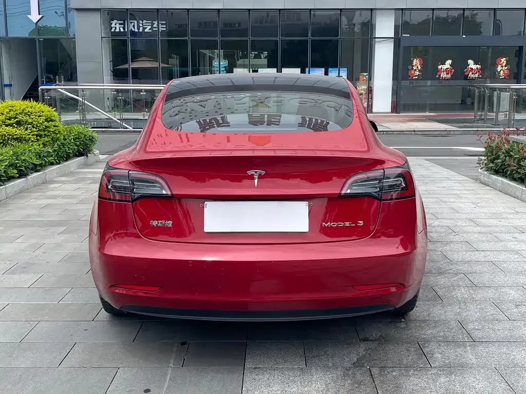 Tesla Model 3 2022 из CN, фото 9