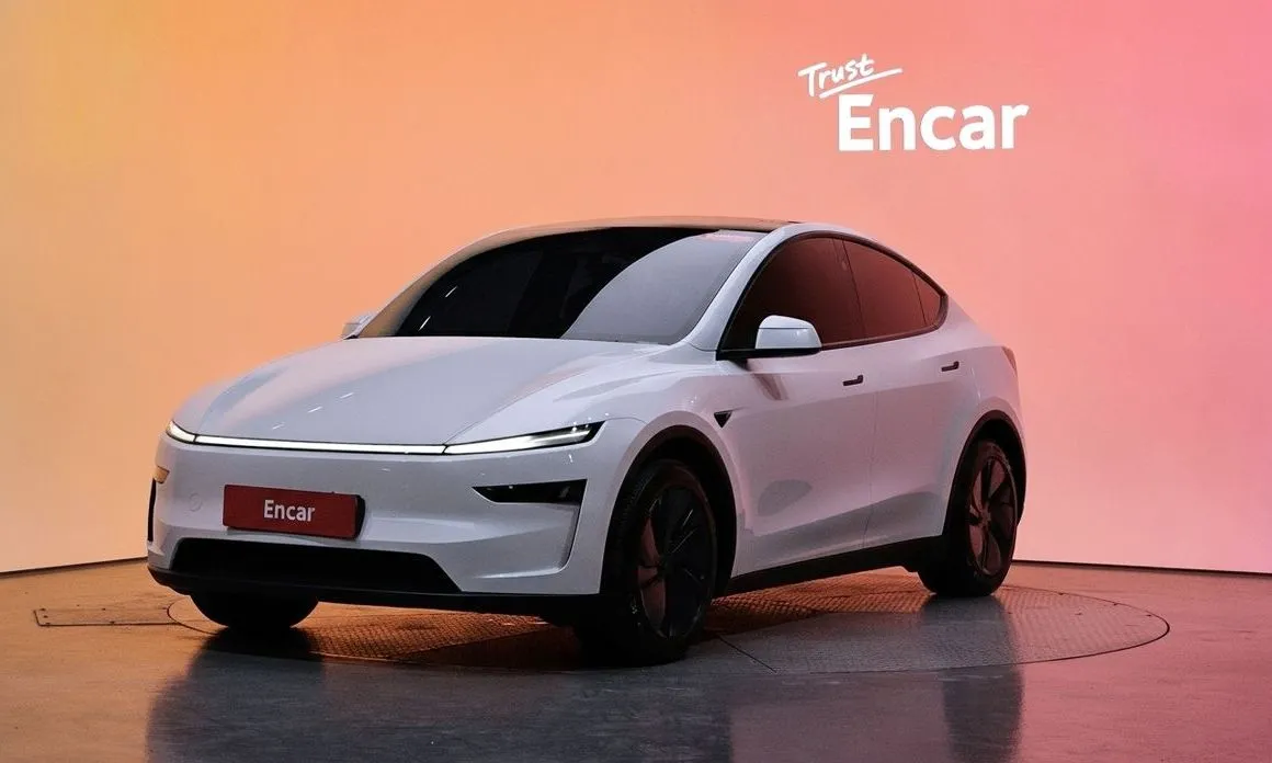 Tesla Model Y — фото 1