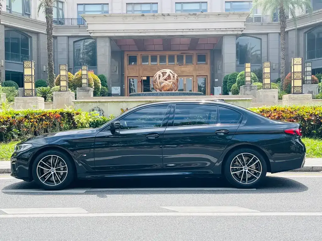BMW 5 Series New Energy 2021 из CN, фото 10