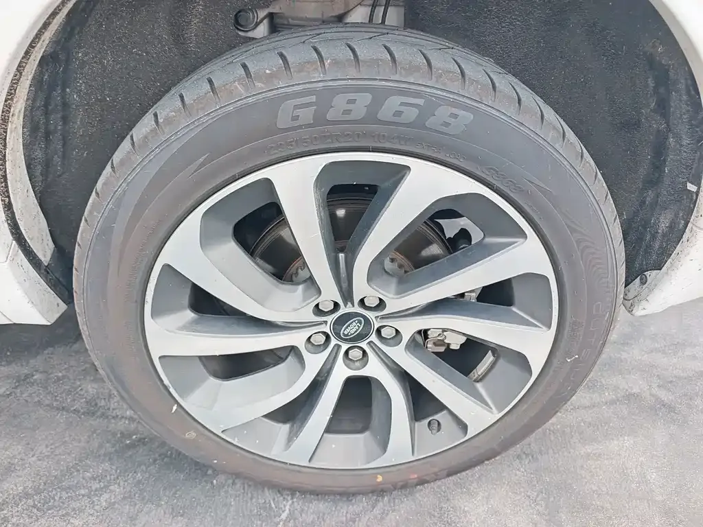 Land Rover Discovery Sport Hybrid 2024 из CN, фото 6