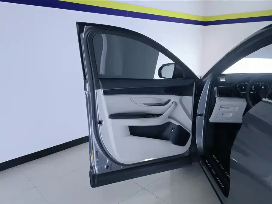 BYD PLUS New Energy — фото 3