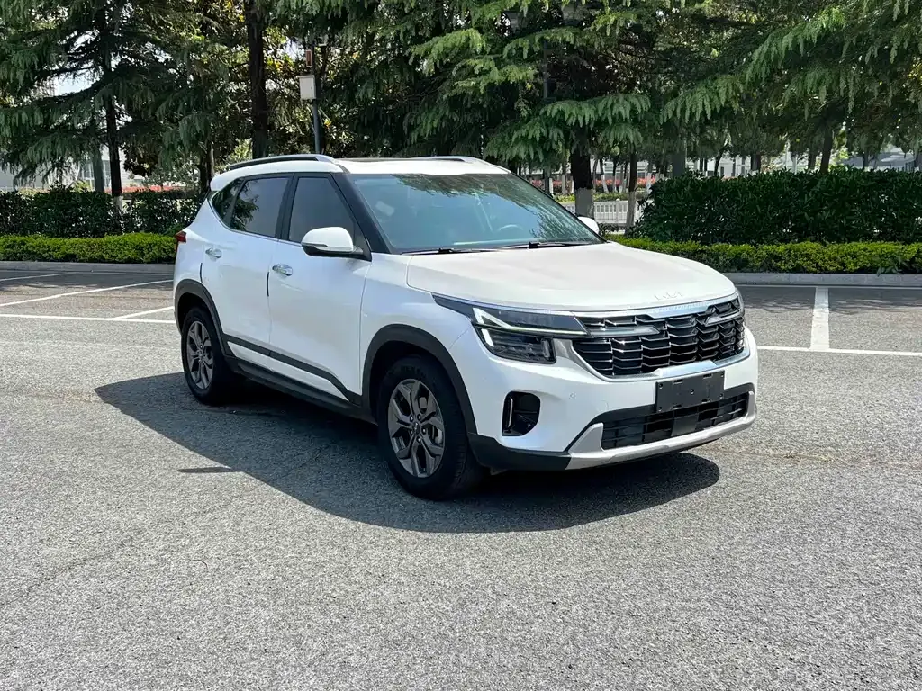 Kia Seltos 2024 из CN, фото 6