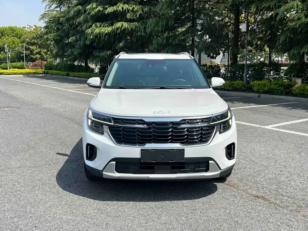 Kia Seltos 2024 из CN, фото 10