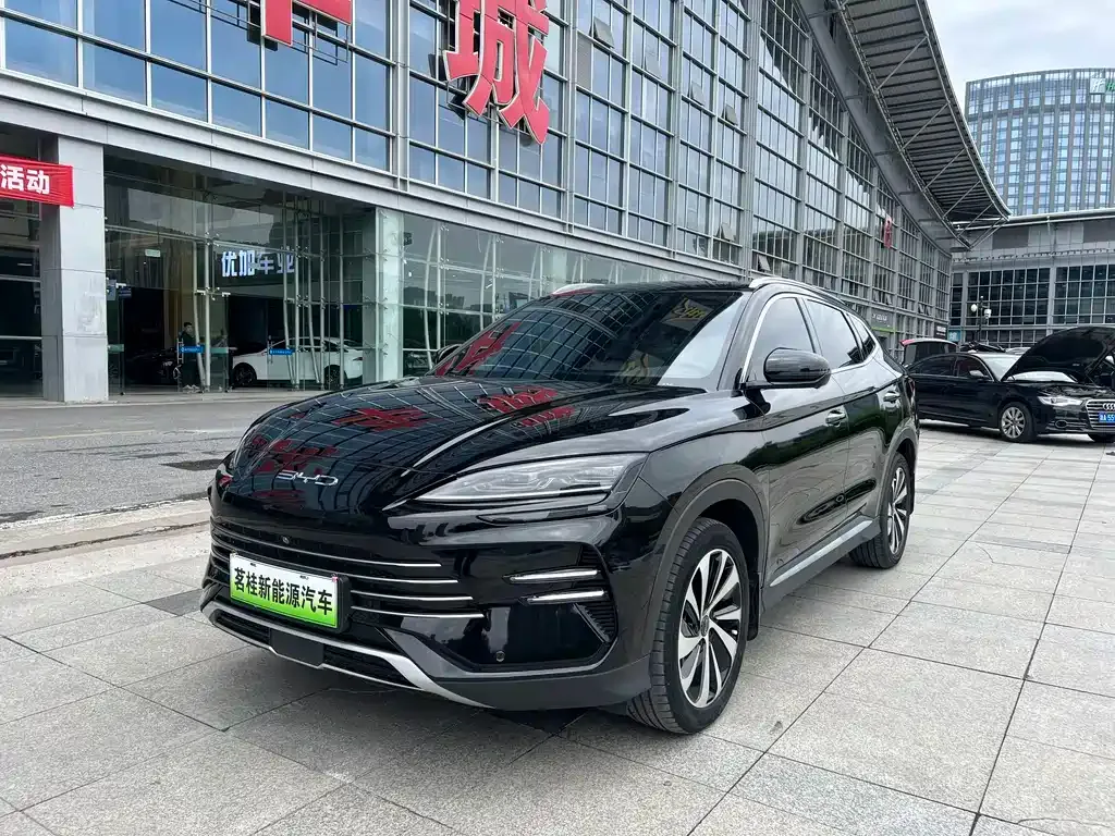BYD PLUS New Energy — фото 1