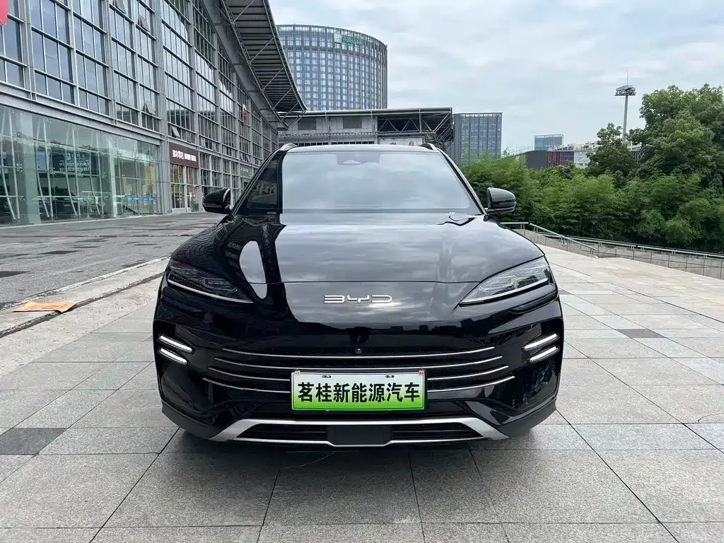 BYD PLUS New Energy — фото 8