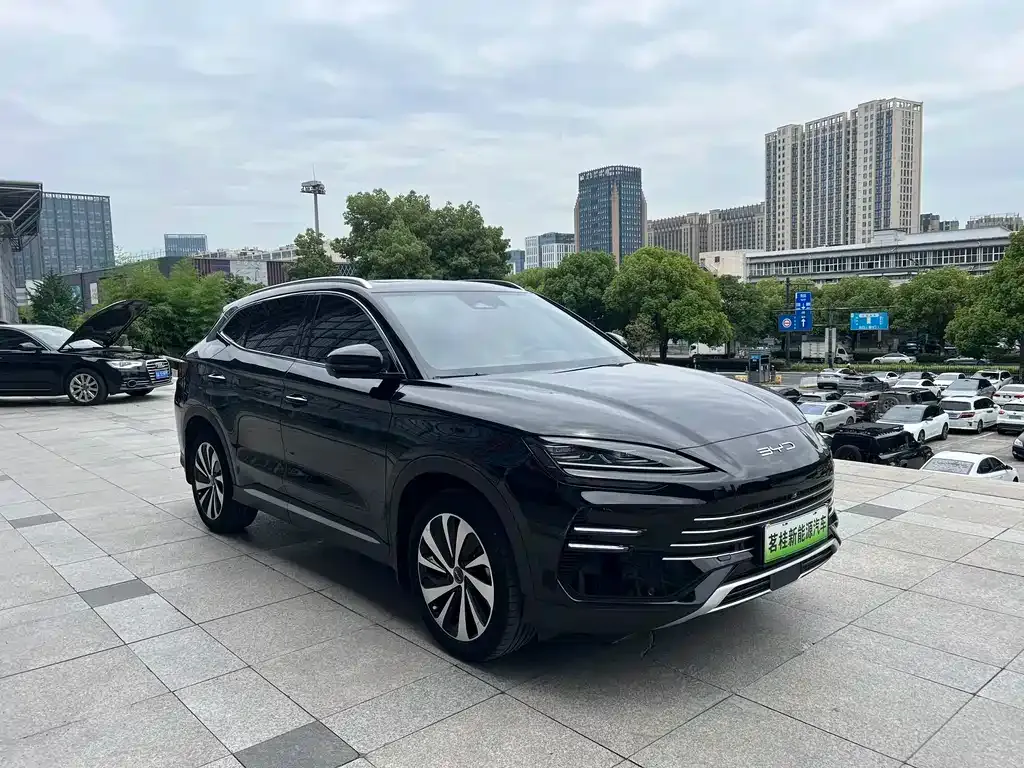 BYD PLUS New Energy — фото 6