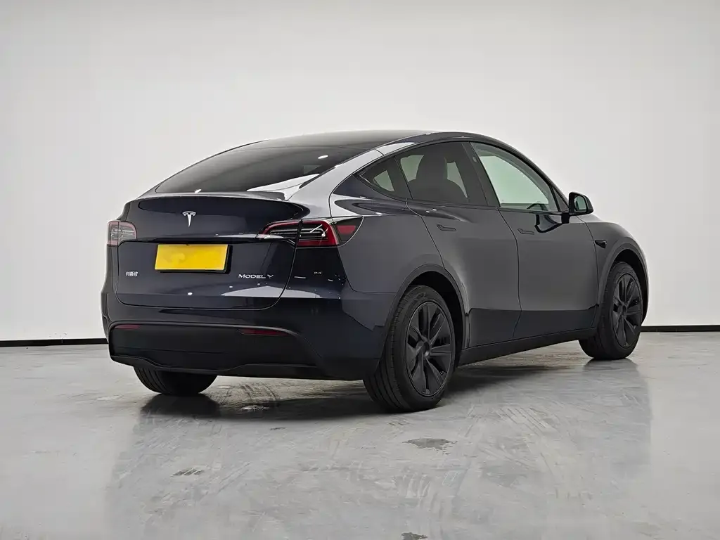 Tesla Model Y — фото 5