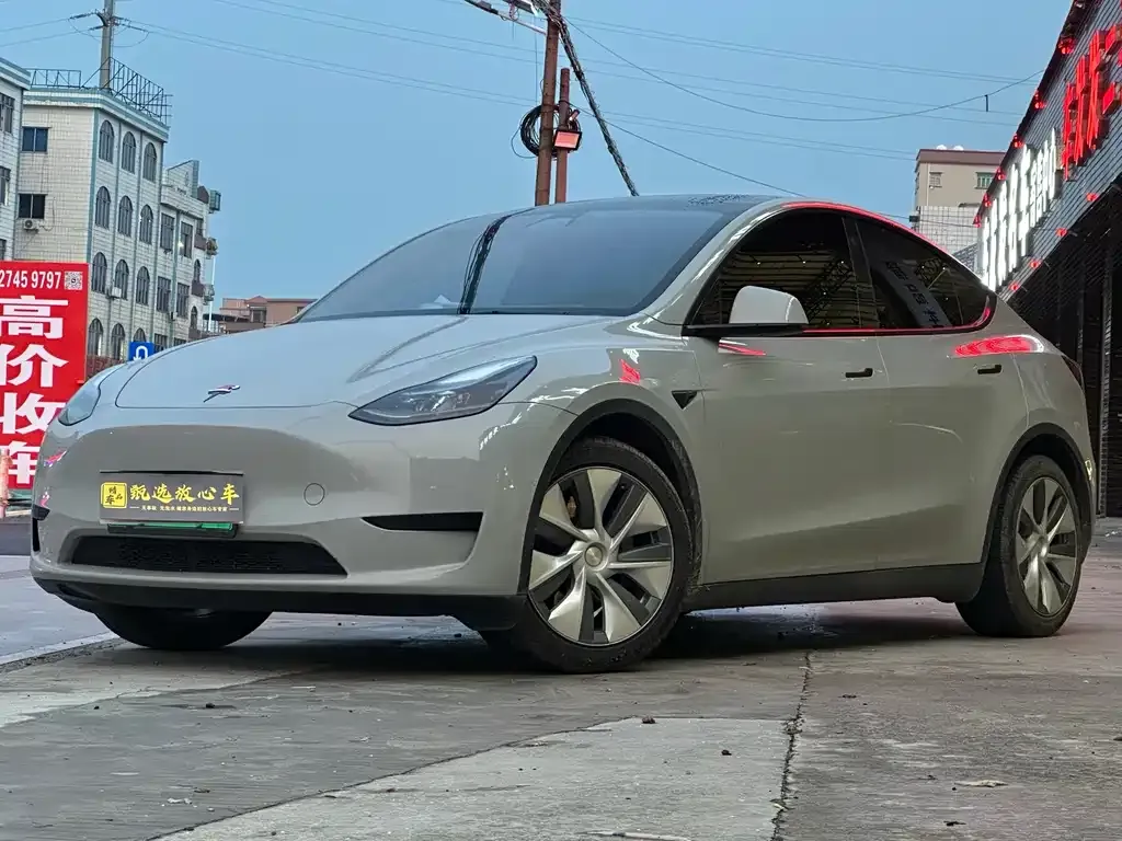 Tesla Model Y — фото 1