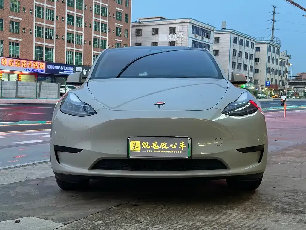 Tesla Model Y — фото 8