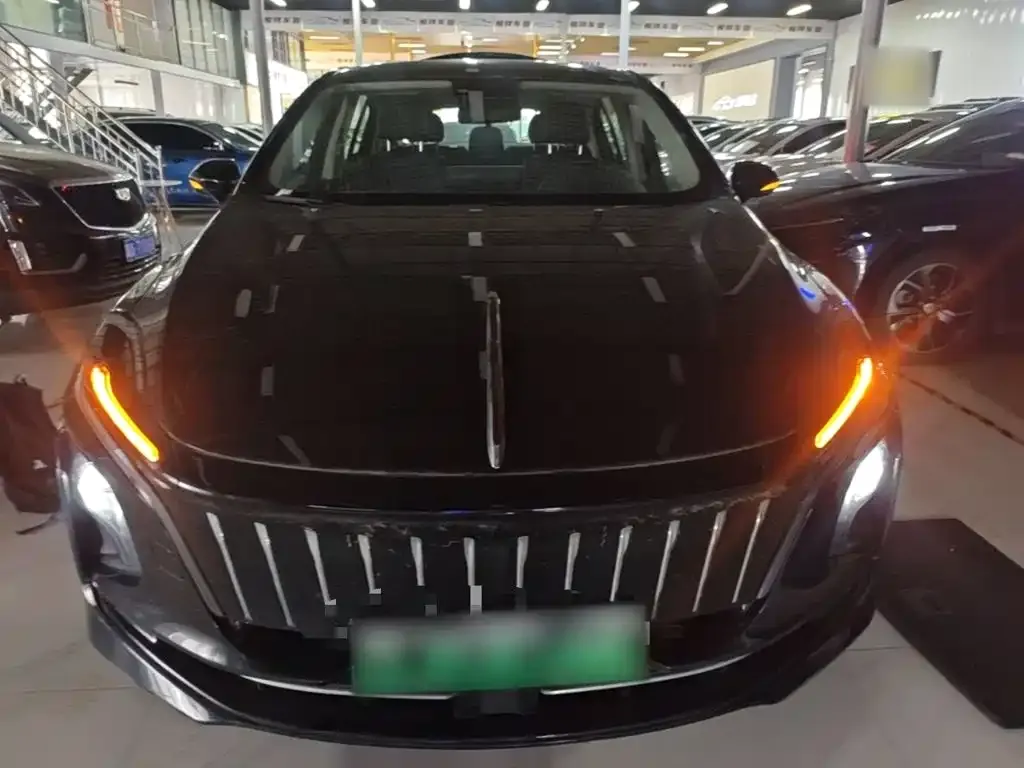 Hongqi E-QM5 2024 из CN, фото 10