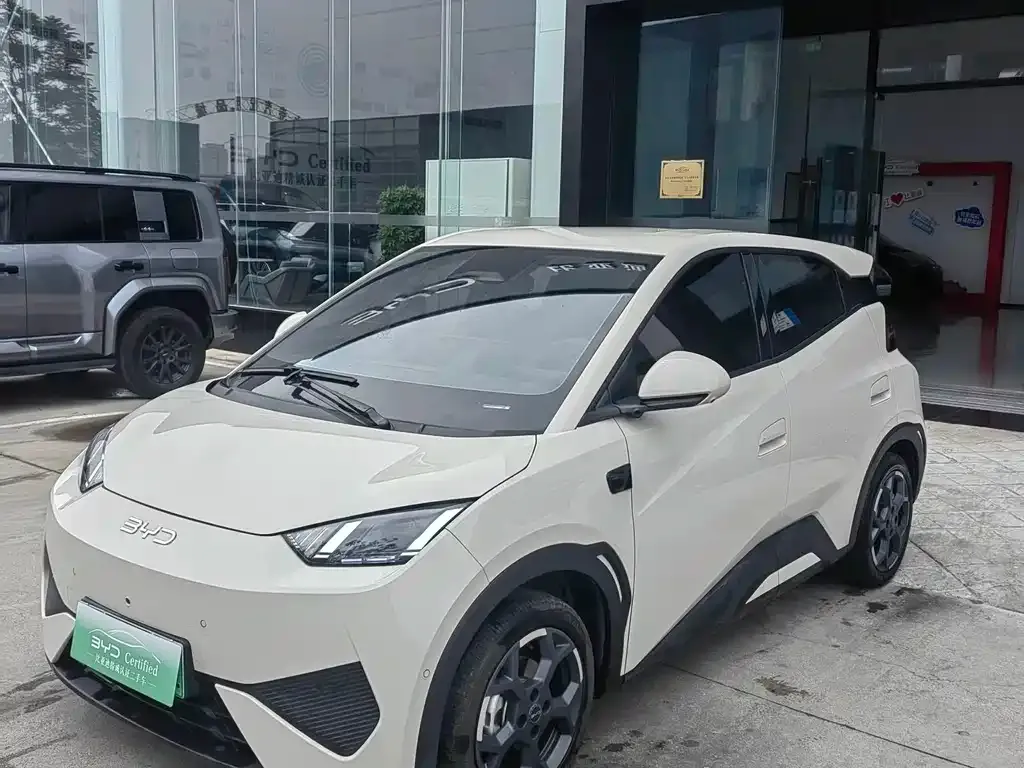 BYD Seagull