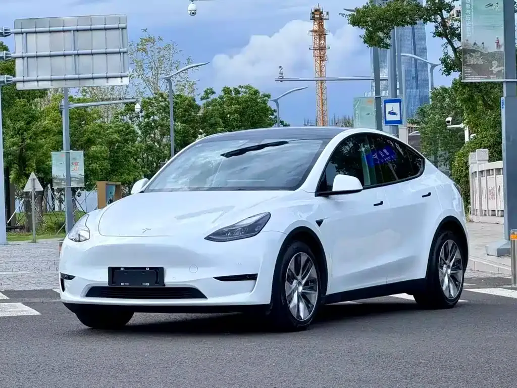 Tesla Model Y — фото 3