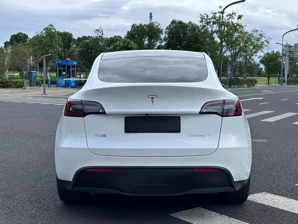 Tesla Model Y — фото 8