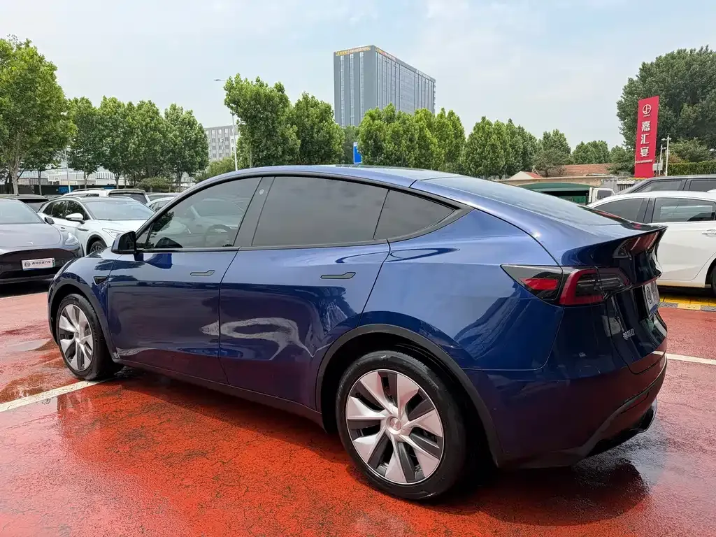Tesla Model Y — фото 9