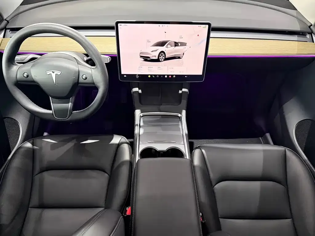 Tesla Model Y — фото 10