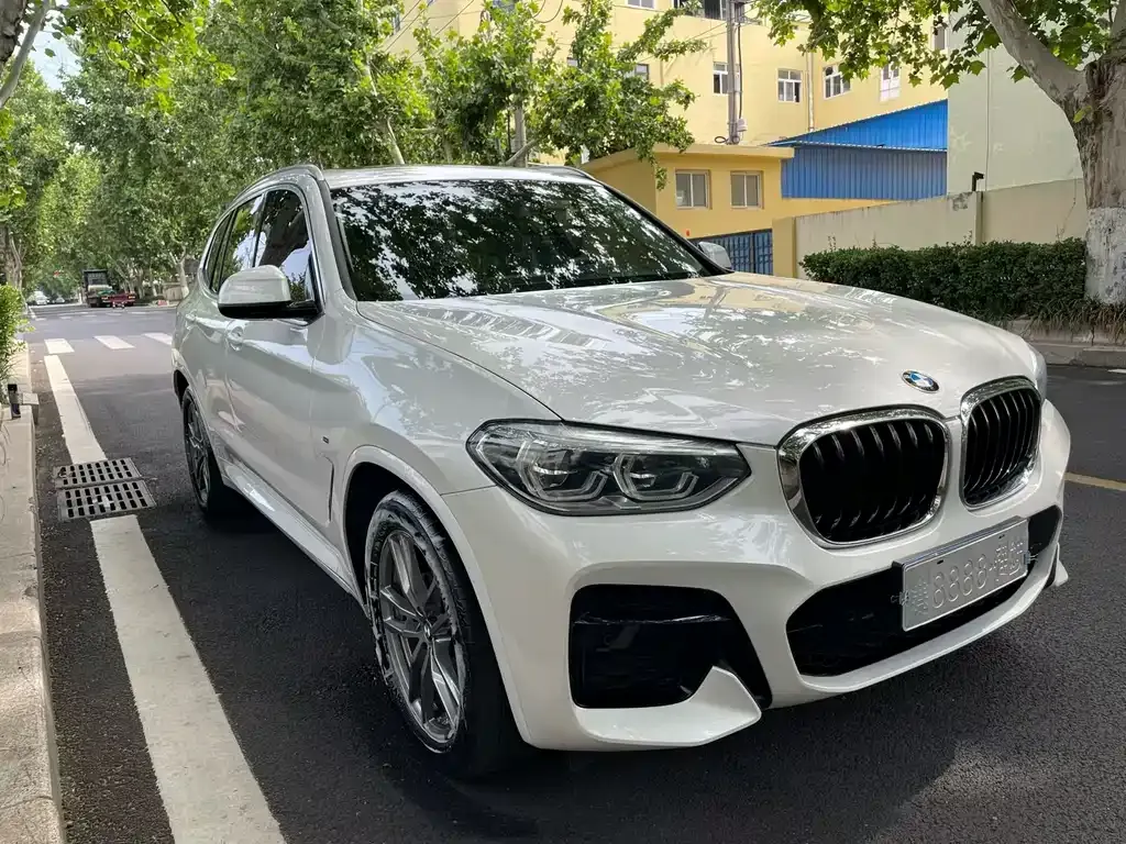 BMW X3 2021 из CN, фото 9