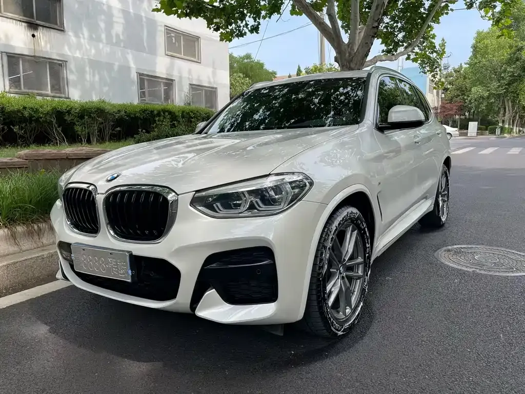 BMW X3 2021 из CN, фото 6