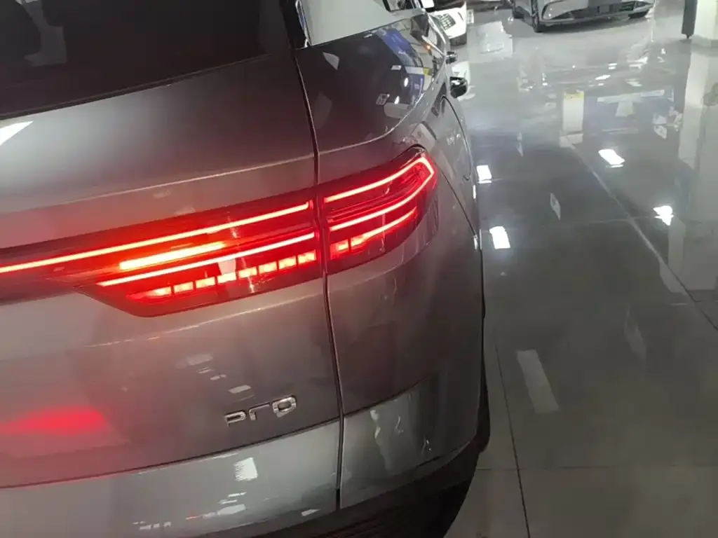 BYD Pro New Energy — фото 10