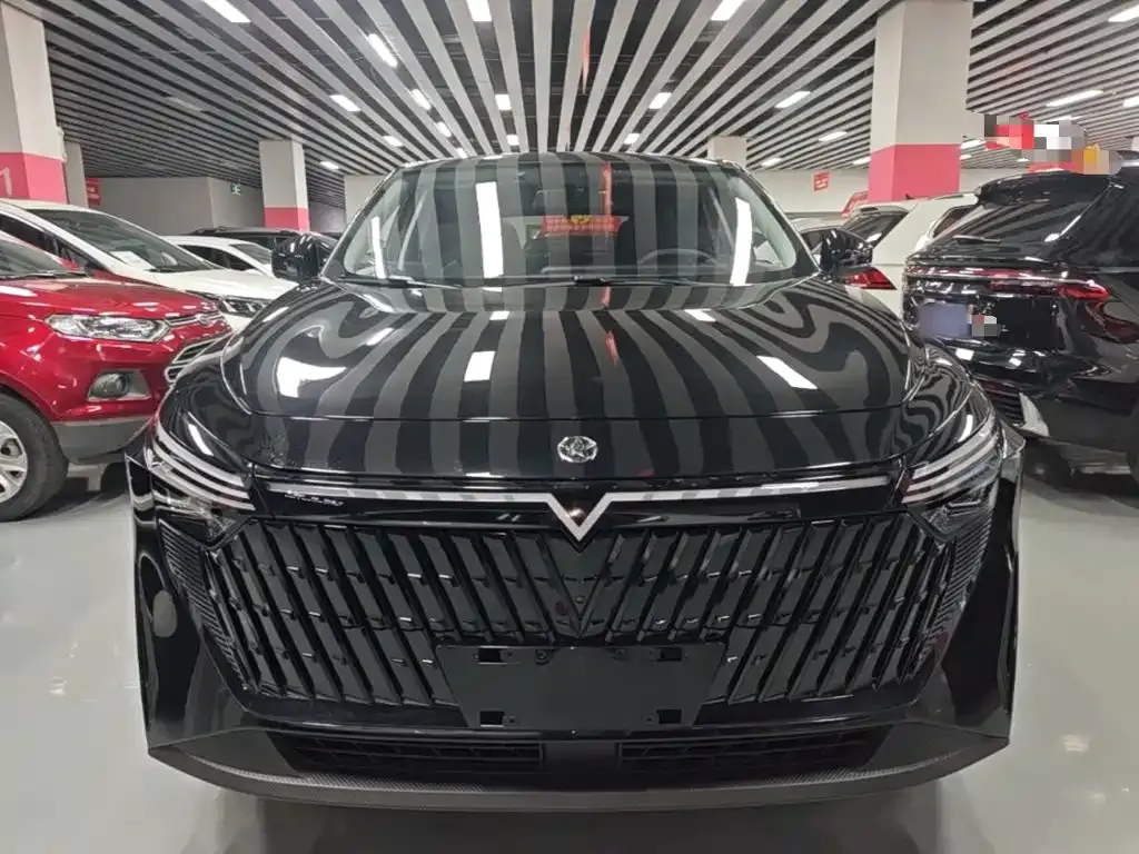Venucia V DD-i 2025 из CN, фото 9