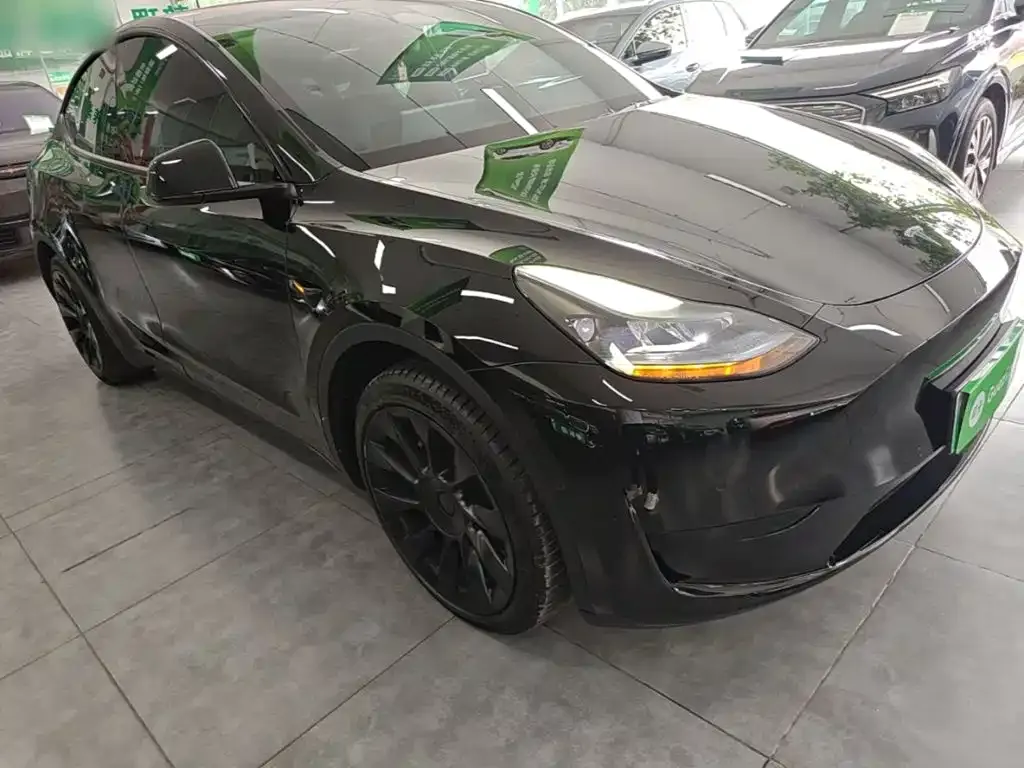 Tesla Model Y — фото 10