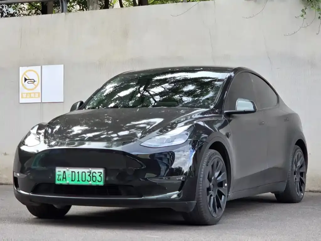 Tesla Model Y — фото 1