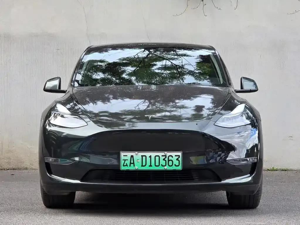 Tesla Model Y — фото 6