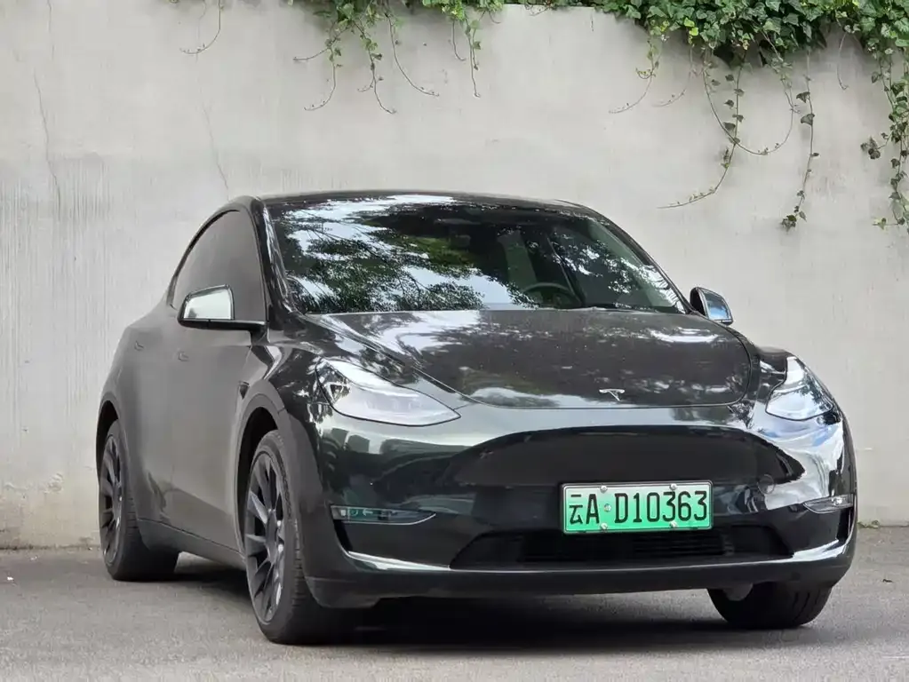 Tesla Model Y — фото 5