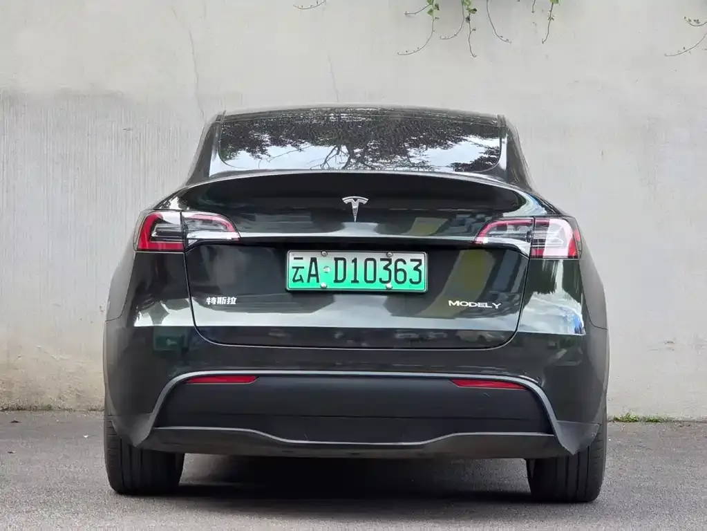 Tesla Model Y — фото 2