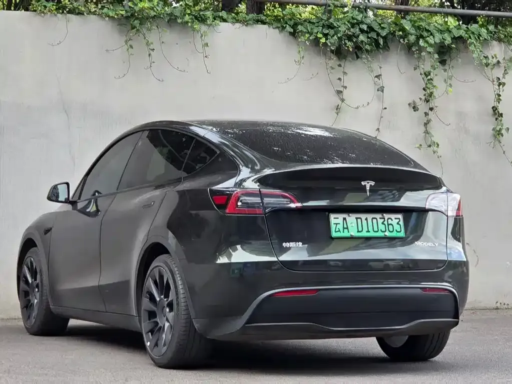 Tesla Model Y — фото 7