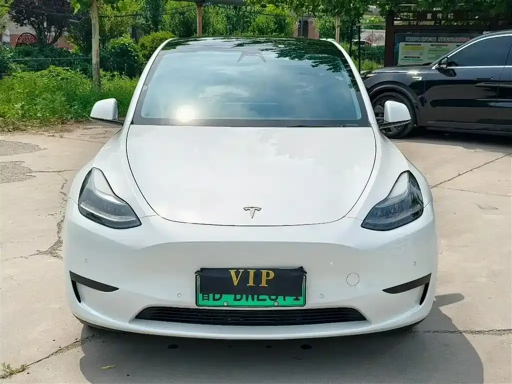 Tesla Model Y — фото 2
