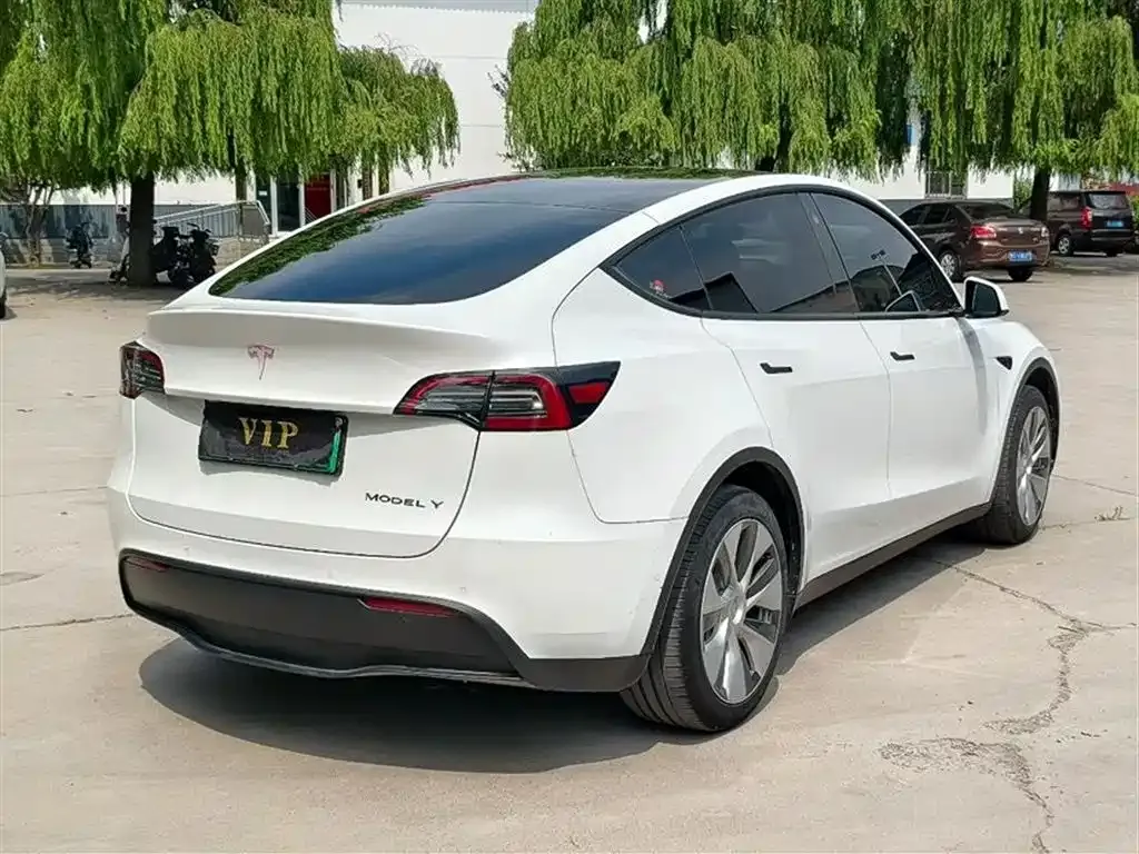 Tesla Model Y — фото 8