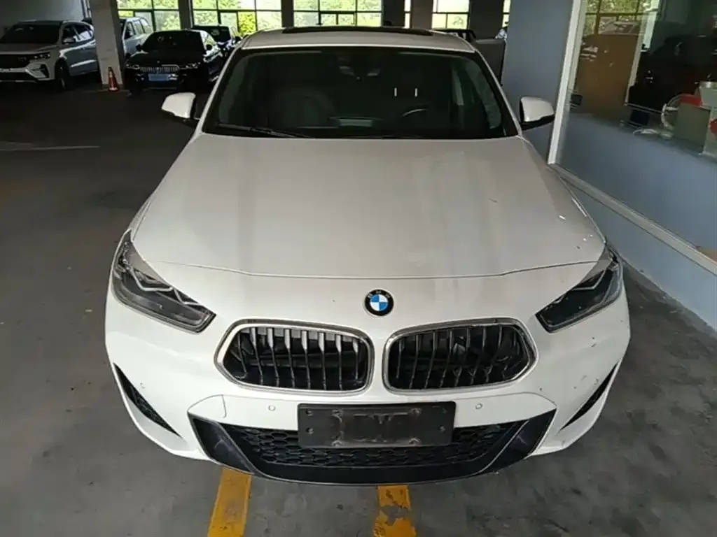 BMW X2 2023 из CN, фото 6