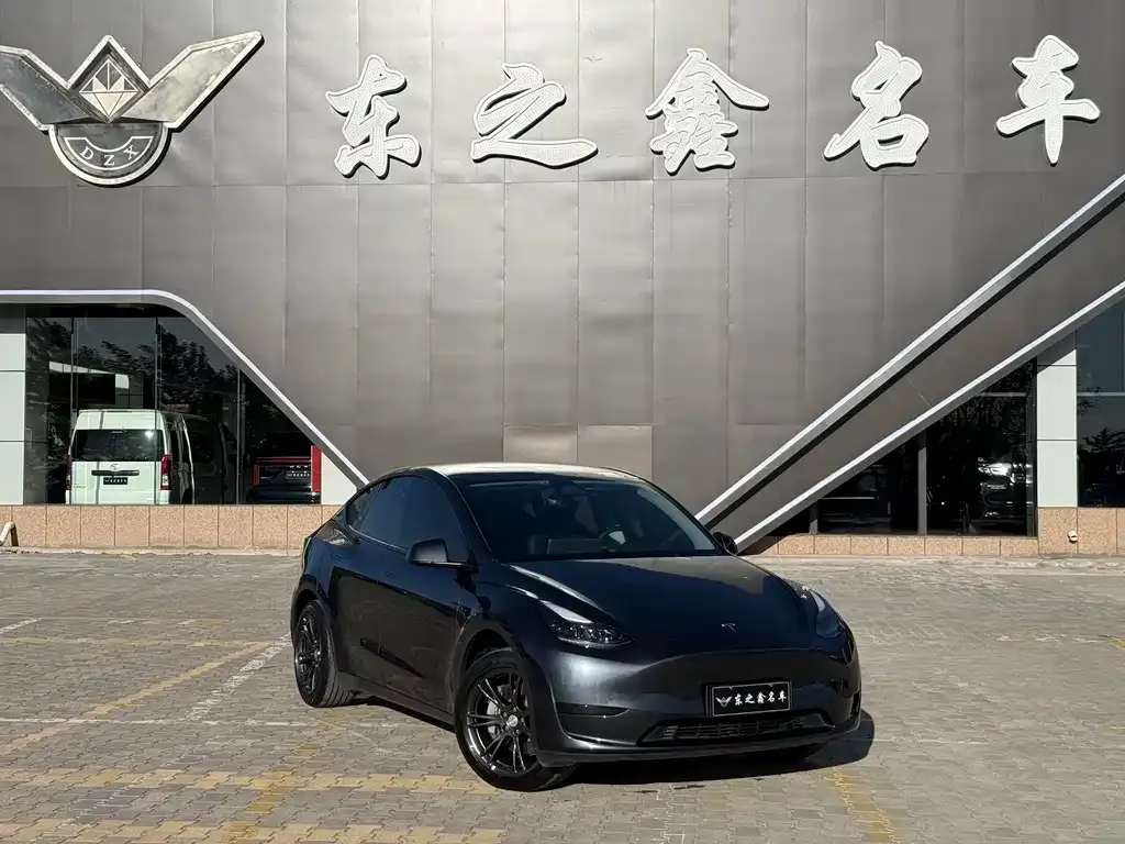 Tesla Model Y — фото 1