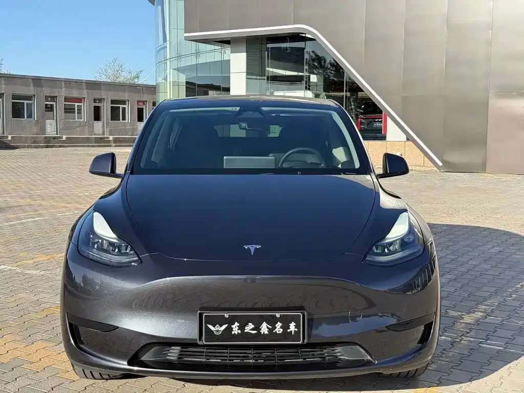 Tesla Model Y — фото 7