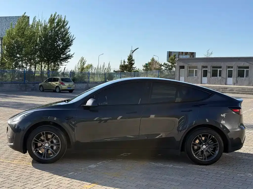 Tesla Model Y — фото 9