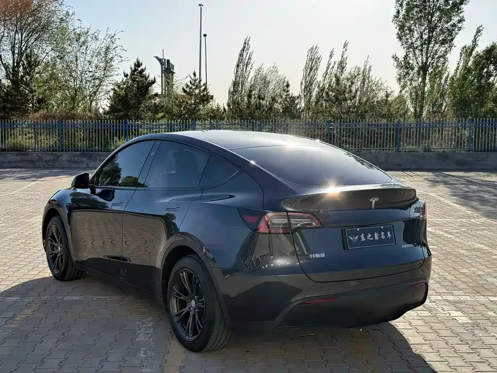 Tesla Model Y — фото 8