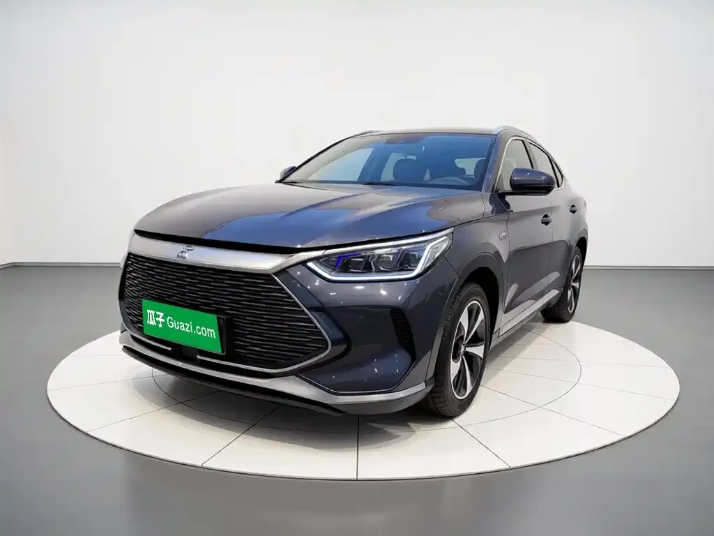 BYD PLUS New Energy — фото 4